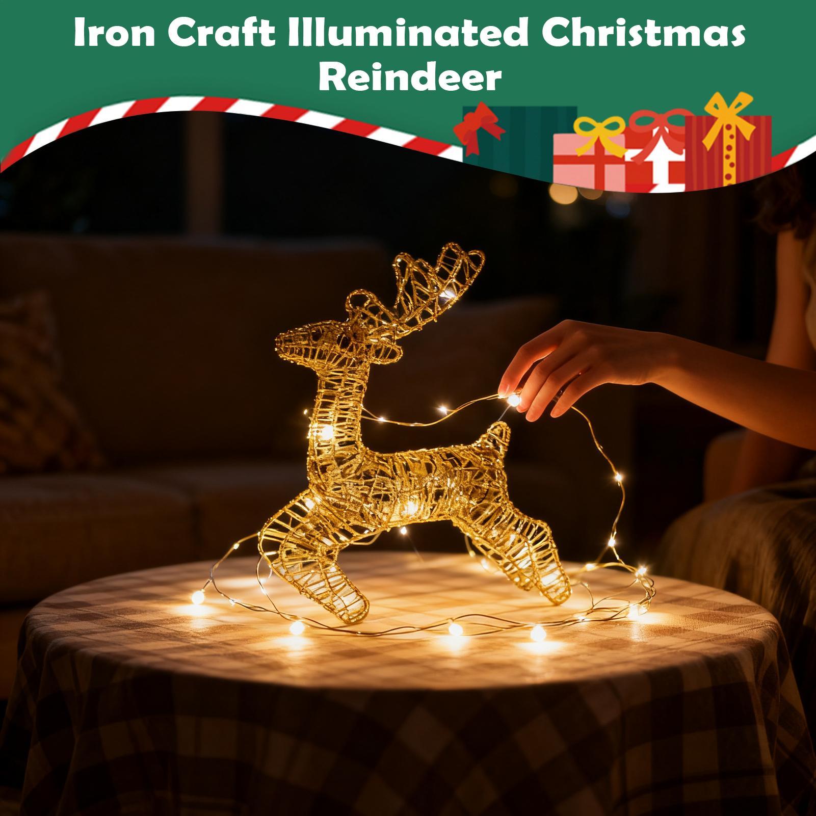 Beleuchteter Weihnachts-Hirsch – Outdoor Lighting Front Yard Bewertung und Preis